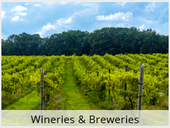 Wineries & Breweries